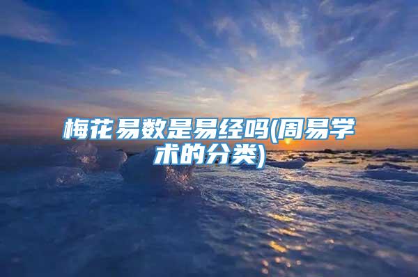 梅花易数是易经吗(周易学术的分类)