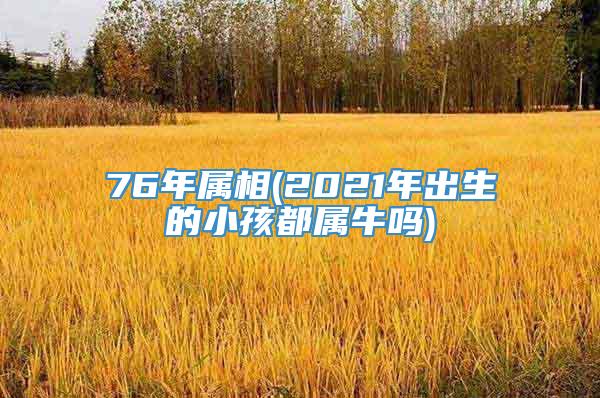 76年属相(2021年出生的小孩都属牛吗)