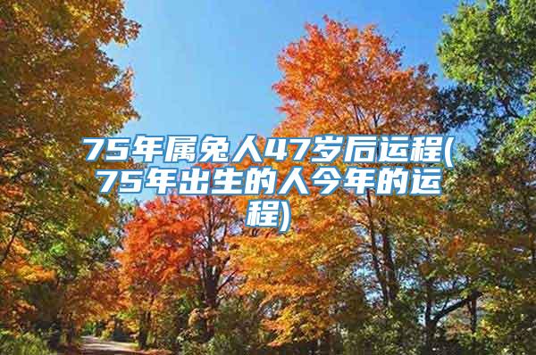 75年属兔人47岁后运程(75年出生的人今年的运程)