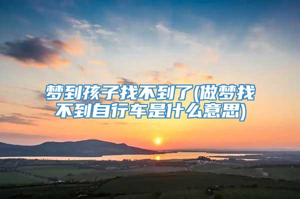 梦到孩子找不到了(做梦找不到自行车是什么意思)