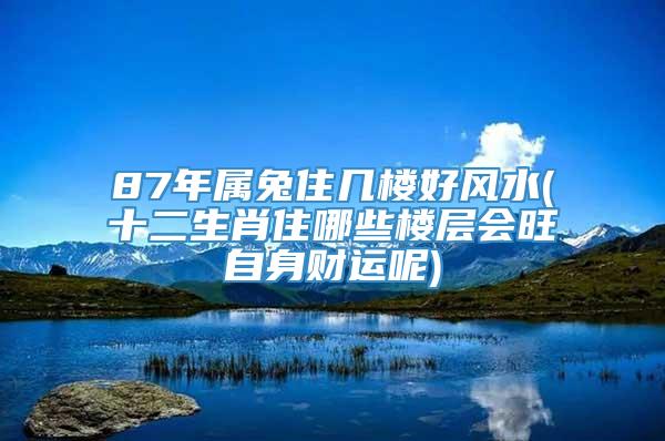 87年属兔住几楼好风水(十二生肖住哪些楼层会旺自身财运呢)