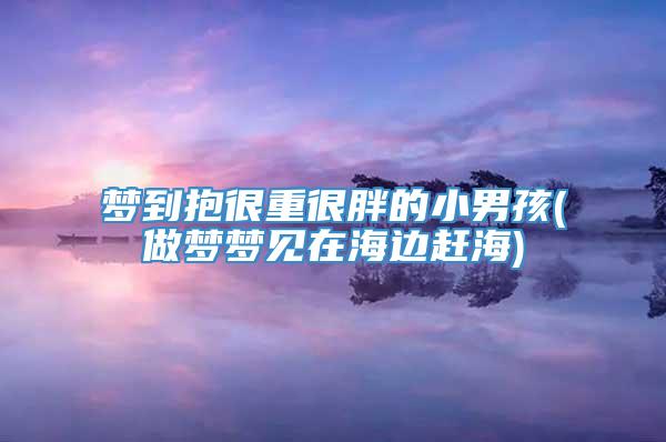 梦到抱很重很胖的小男孩(做梦梦见在海边赶海)