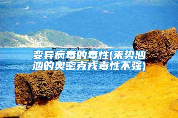 变异病毒的毒性(来势汹汹的奥密克戎毒性不强)