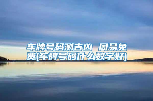 车牌号码测吉凶 周易免费(车牌号码什么数字好)
