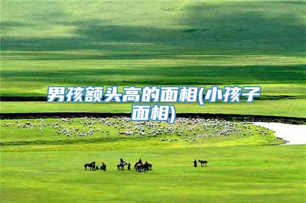 男孩额头高的面相(小孩子面相)