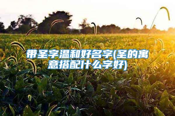 带圣字温和好名字(圣的寓意搭配什么字好)