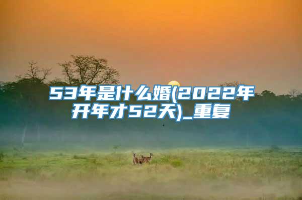 53年是什么婚(2022年开年才52天)_重复