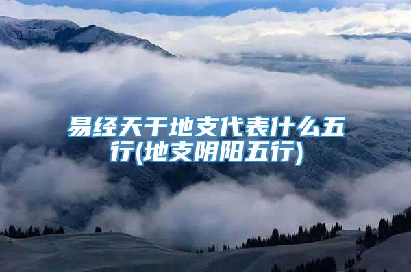 易经天干地支代表什么五行(地支阴阳五行)