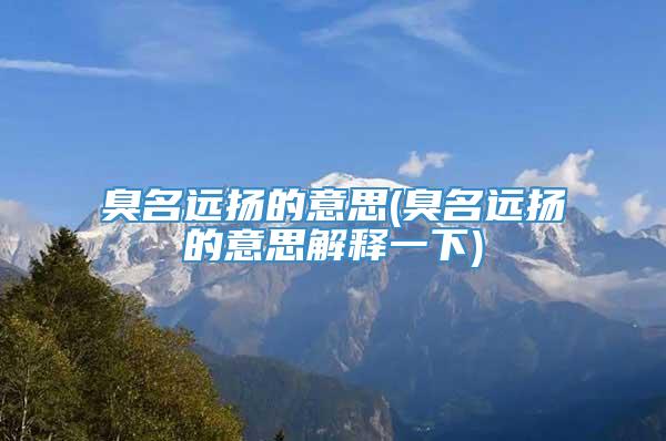 臭名远扬的意思(臭名远扬的意思解释一下)