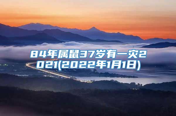 84年属鼠37岁有一灾2021(2022年1月1日)