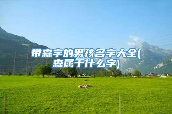 带森字的男孩名字大全(森属于什么字)