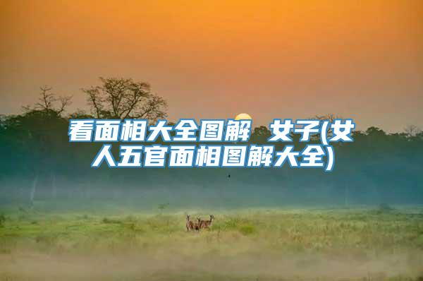 看面相大全图解 女子(女人五官面相图解大全)