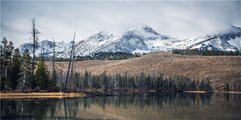 “前夫把两个孩子扔下15楼”等待判决的这一年：她梦见孩子，却够不到他们