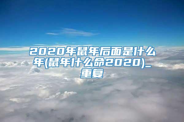 2020年鼠年后面是什么年(鼠年什么命2020)_重复