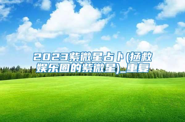 2023紫微星占卜(拯救娱乐圈的紫微星)_重复