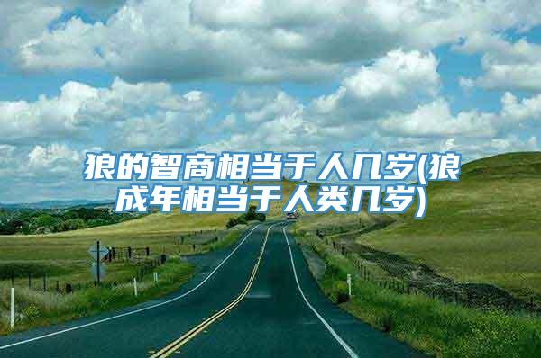 狼的智商相当于人几岁(狼成年相当于人类几岁)