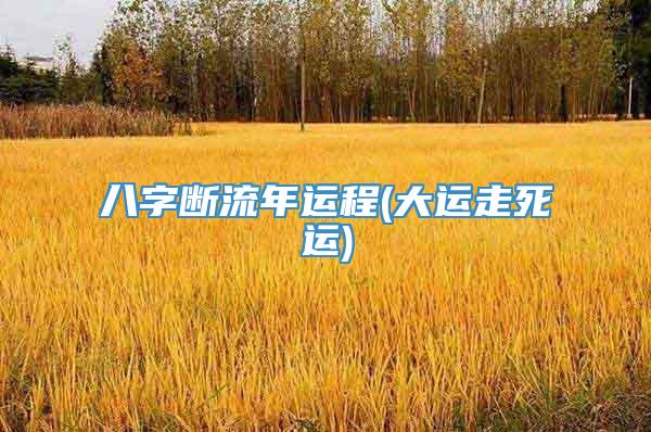 八字断流年运程(大运走死运)