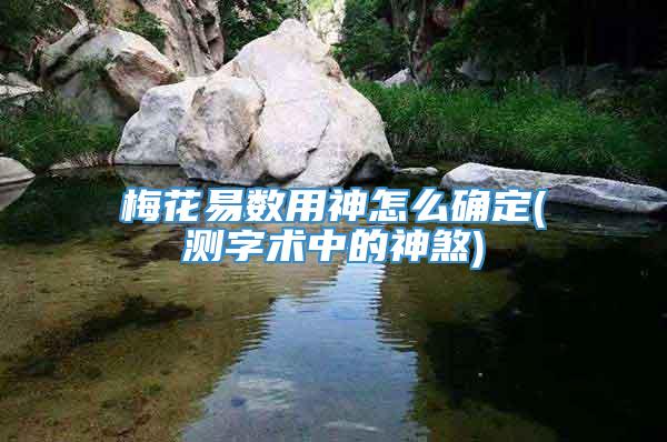 梅花易数用神怎么确定(测字术中的神煞)