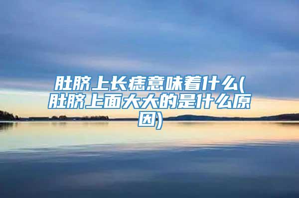 肚脐上长痣意味着什么(肚脐上面大大的是什么原因)