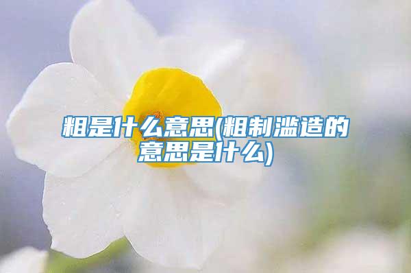 粗是什么意思(粗制滥造的意思是什么)