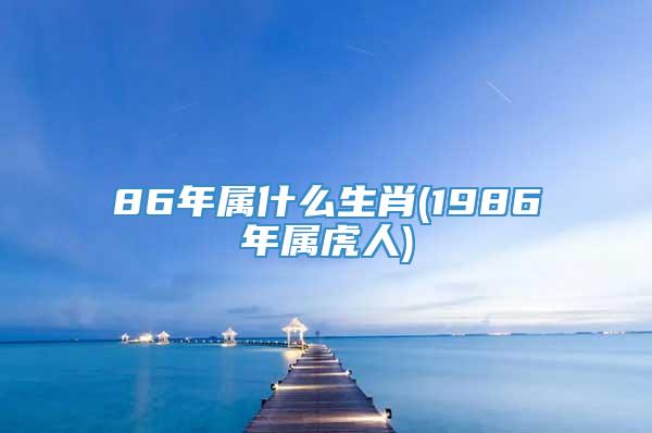 86年属什么生肖(1986年属虎人)