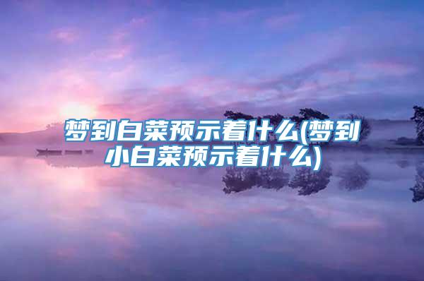 梦到白菜预示着什么(梦到小白菜预示着什么)