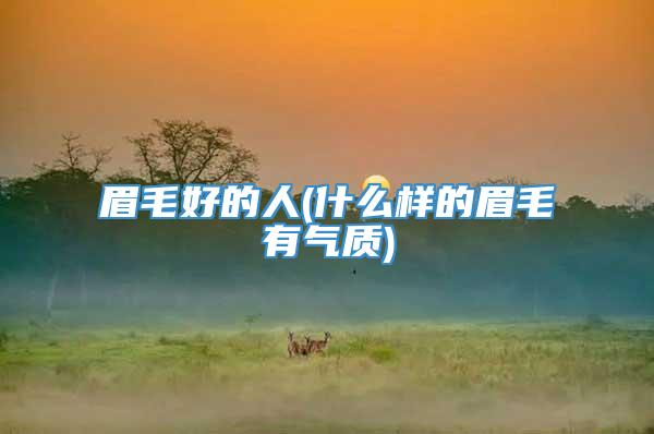 眉毛好的人(什么样的眉毛有气质)