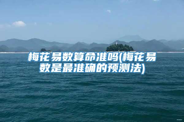 梅花易数算命准吗(梅花易数是最准确的预测法)