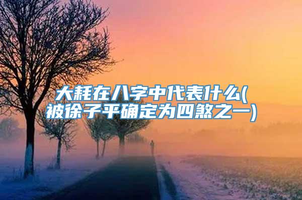 大耗在八字中代表什么(被徐子平确定为四煞之一)