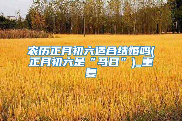 农历正月初六适合结婚吗(正月初六是“马日”)_重复