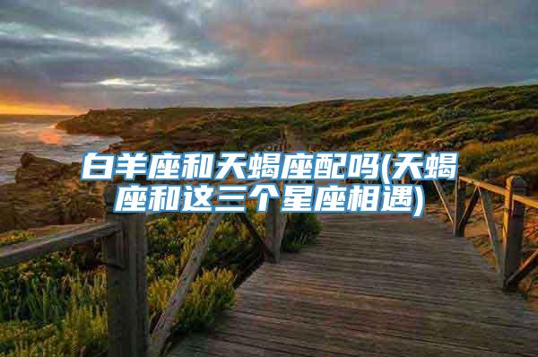 白羊座和天蝎座配吗(天蝎座和这三个星座相遇)