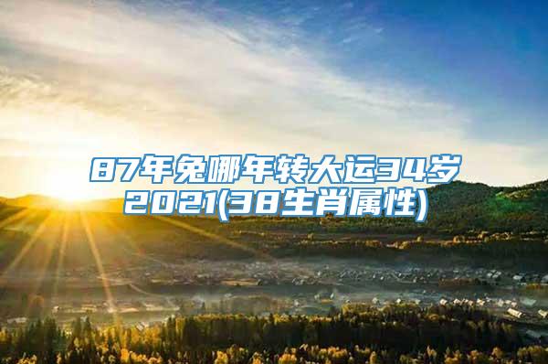 87年兔哪年转大运34岁2021(38生肖属性)