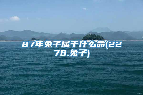 87年兔子属于什么命(2278.兔子)