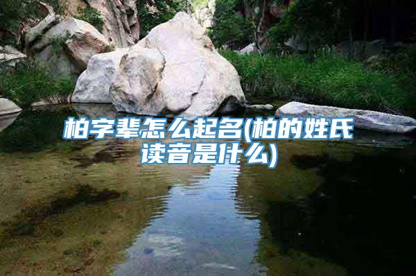 柏字辈怎么起名(柏的姓氏读音是什么)