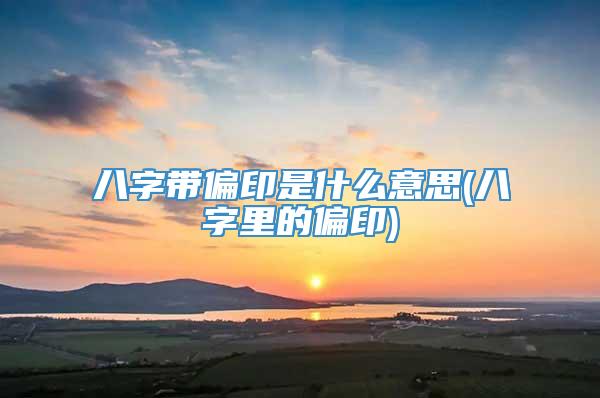 八字带偏印是什么意思(八字里的偏印)