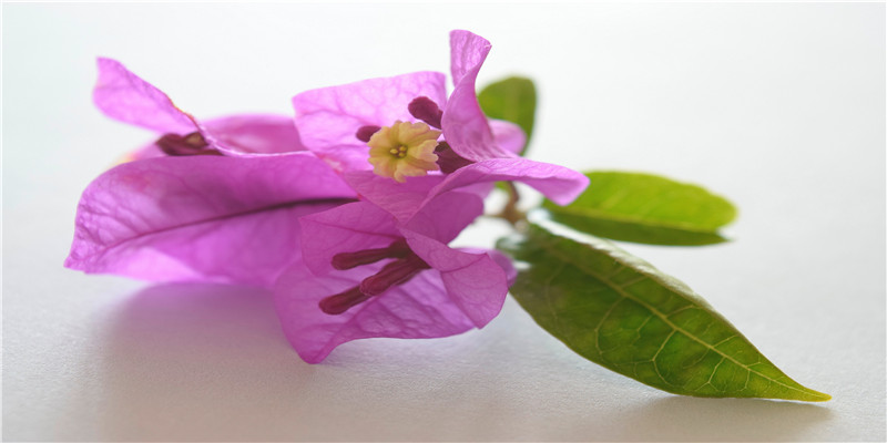 “前夫把两个孩子扔下15楼”等待判决的这一年：她梦见孩子，却够不到他们