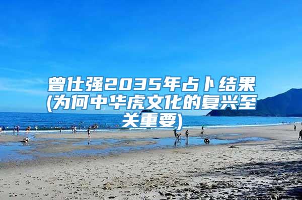 曾仕强2035年占卜结果(为何中华虎文化的复兴至关重要)