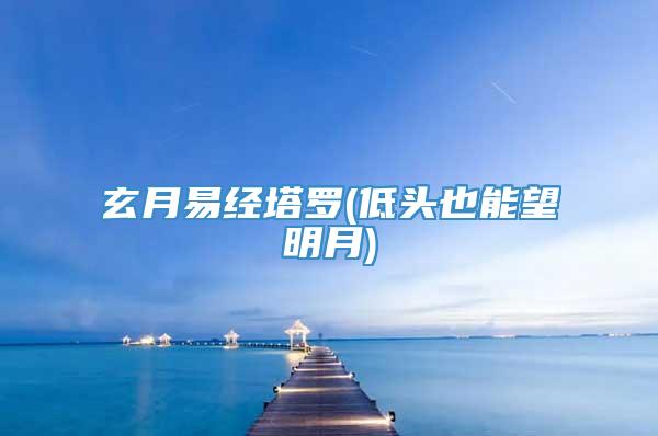 玄月易经塔罗(低头也能望明月)