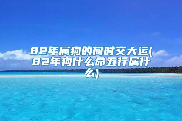 82年属狗的何时交大运(82年狗什么命五行属什么)