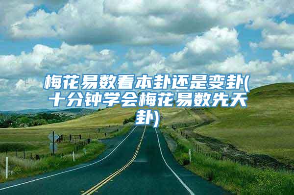 梅花易数看本卦还是变卦(十分钟学会梅花易数先天卦)