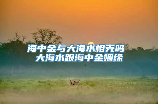 海中金与大海水相克吗 大海水跟海中金姻缘