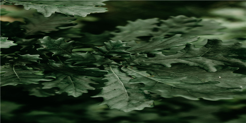 这届导游忽悠你掏钱的套路，已经进化得防不胜防了