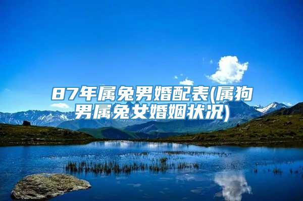 87年属兔男婚配表(属狗男属兔女婚姻状况)