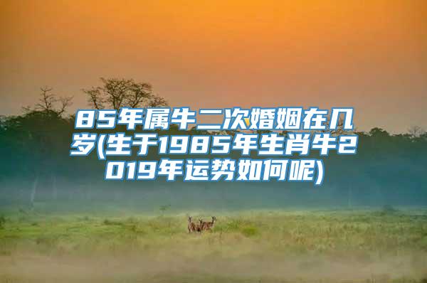 85年属牛二次婚姻在几岁(生于1985年生肖牛2019年运势如何呢)