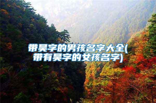 带昊字的男孩名字大全(带有昊字的女孩名字)