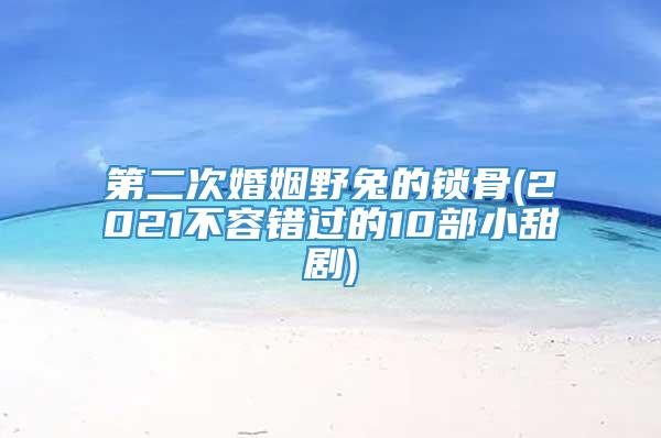 第二次婚姻野兔的锁骨(2021不容错过的10部小甜剧)