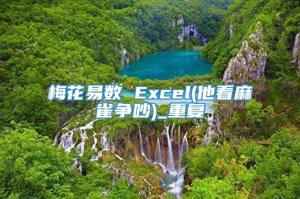 梅花易数 Excel(他看麻雀争吵)_重复