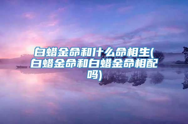 白蜡金命和什么命相生(白蜡金命和白蜡金命相配吗)