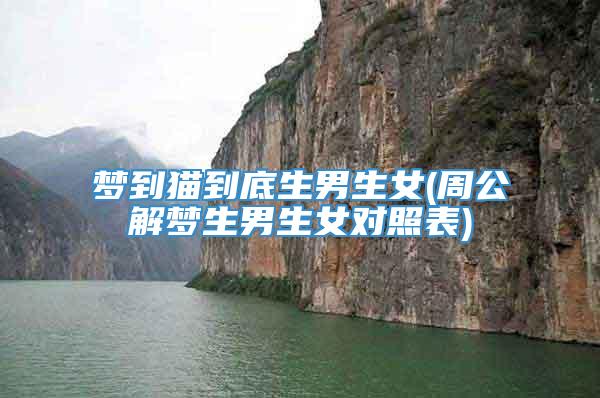 梦到猫到底生男生女(周公解梦生男生女对照表)