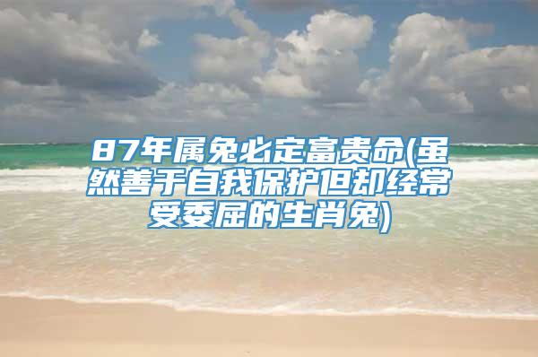 87年属兔必定富贵命(虽然善于自我保护但却经常受委屈的生肖兔)